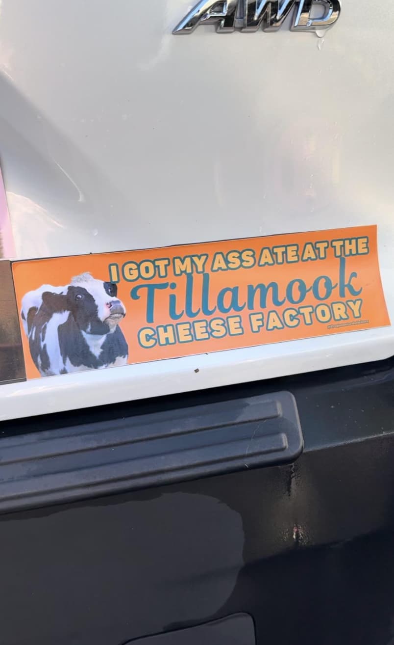 tillamook cow bumper sticker - I Got My Ass Ate At The Tillamook Cheese Factory